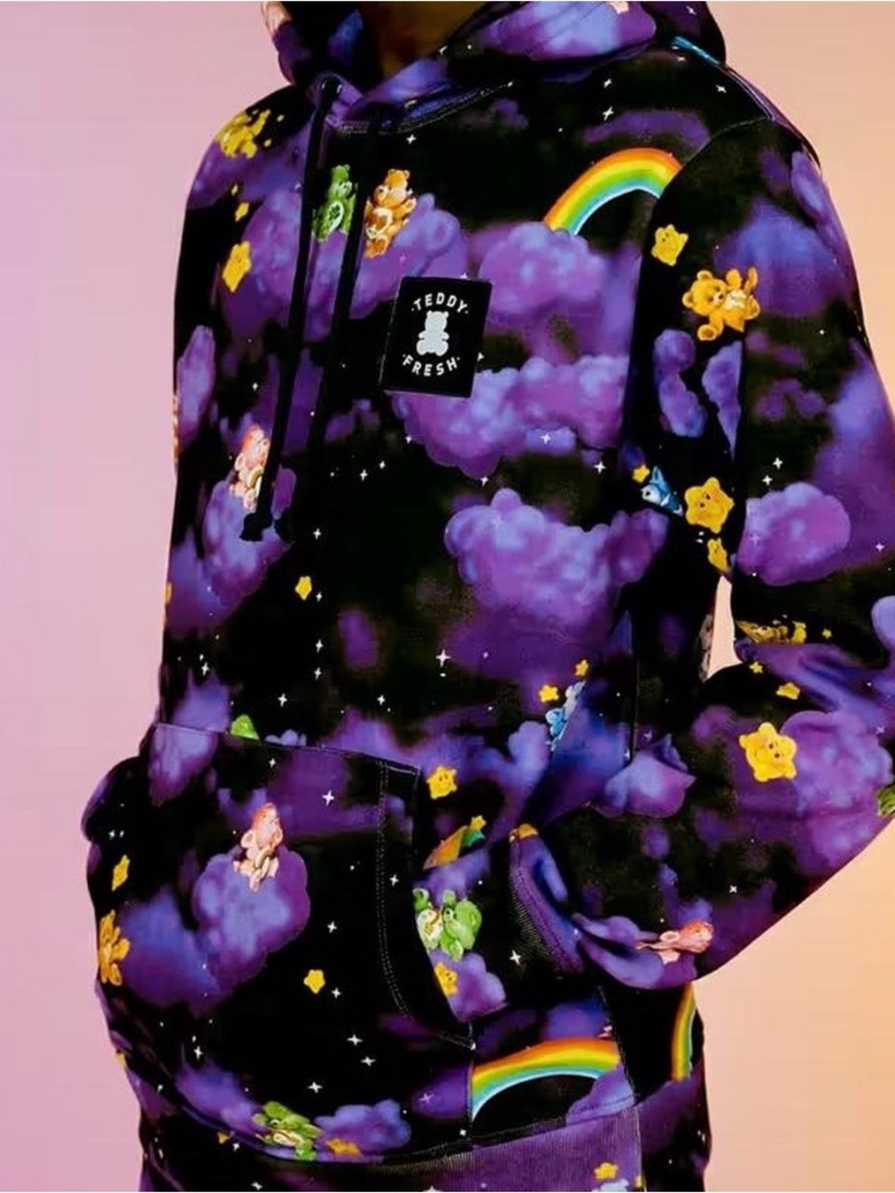 Teddy Fresh x Care Bears Collab Hoodie Sweatshirt Unisex Size L NWT